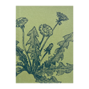 Botanical Jotter