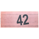 Hitchhiker's Boarding Pass