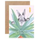 Aloe From the Other Siiiide!