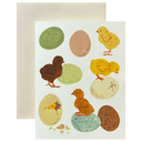 Spring Baby Chicks