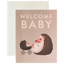 Baby Hedgehog