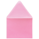 Presentation Envelope