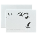 Birds Best of Luck
