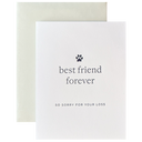 Best Pet Friend Forever