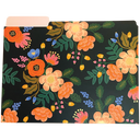 Lively Floral File Folders