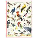 British Birds