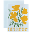 California Poppy