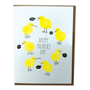 Mother's Day Chicks