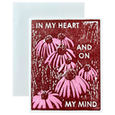 Coneflowers on My Mind