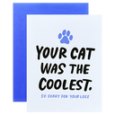 Coolest Cat