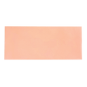 #10 Envelope Standard