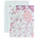 Cosmos Plum