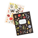 Curio Pocket Notebooks