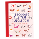 Doggone True