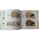 Drawing Wild Animals