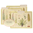 Ferns File Folders