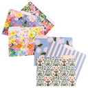 File Folder Set