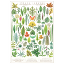 Folia Leaves