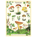 Forage