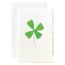 Watercolor Clover