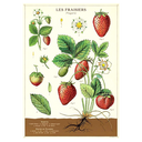 Les Fraisiers