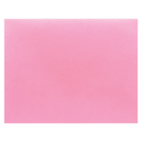Presentation Envelope