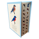 Backyard Birding Postcards