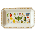 Curio Large Catchall Tray