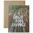 Big Redwood Thanks