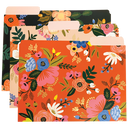 Lively Floral File Folders