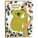 Hang in There Koala