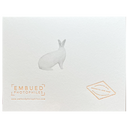 Rabbit Happy Easter