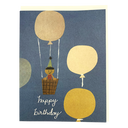 Hot Air Balloon