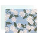 Hydrangea Thank You
