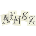 Daisy Monogram