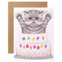 Kitten Cake