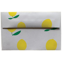Lemon Envelope Set
