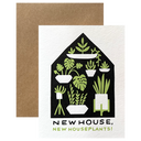 Houseplants New Home