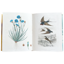 John Derian Sticker Book