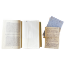 Little Women Characters' Correspondence