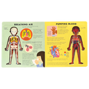 The Body Book