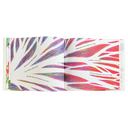 Have You Ever Seen a Flower?