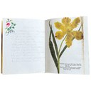 John Derian Sticker Book