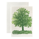Oak Tree