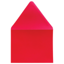Presentation Envelope