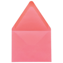 Presentation Envelope