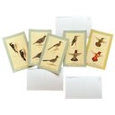 Backyard Birding Postcards