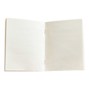 Bon Voyage Pocket Notebooks