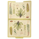 Ferns File Folders