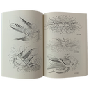 Ornate Pictorial Calligraphy